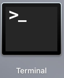 Launch the terminal.